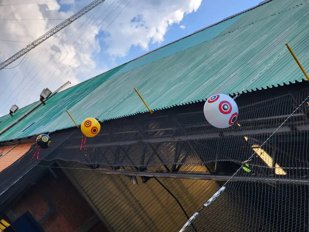 Globos Buhos