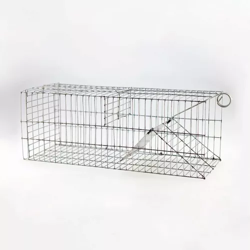 Jaulas de captura de roedores