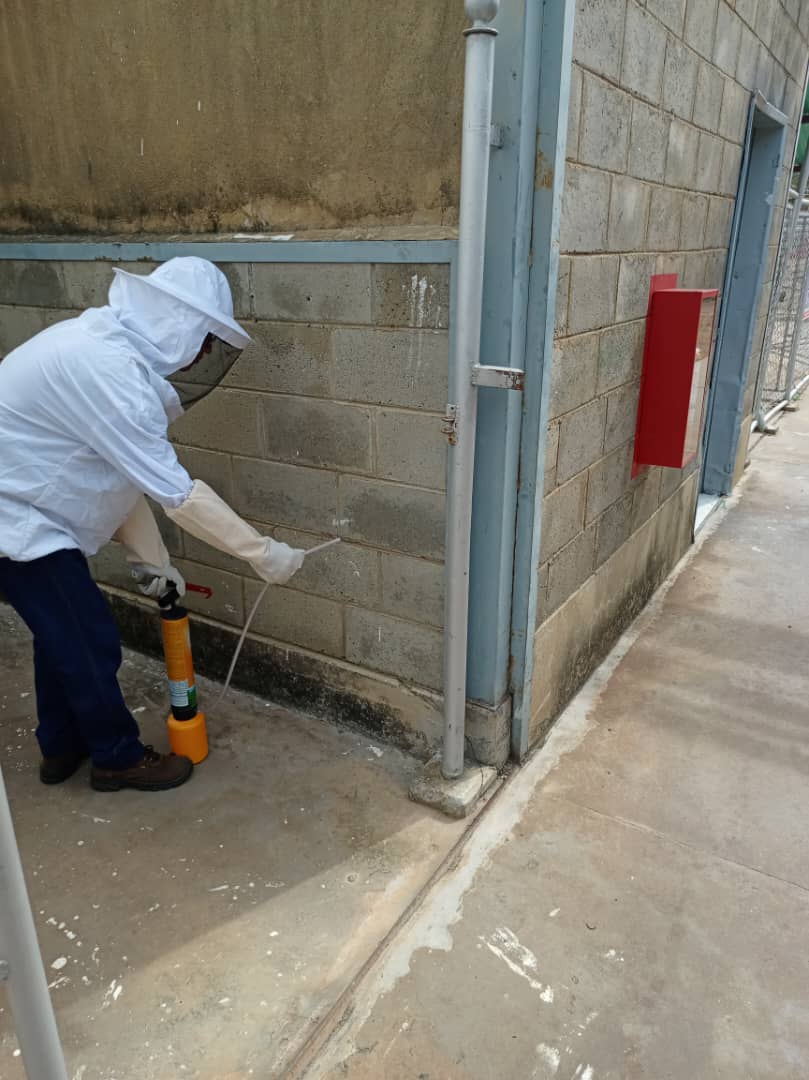 aplicación de insecticida